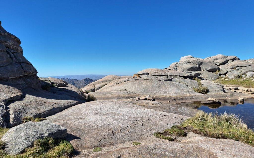 La Provincia avanza en la elaboración del Diagnóstico Ambiental Provincial 2025