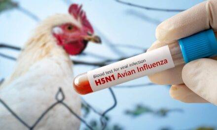 Detectan gripe aviar en aves de corral y SENASA suspende exportaciones