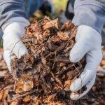 Utilizando el estiércol mejoran hasta un 26 % los rindes de los cultivos