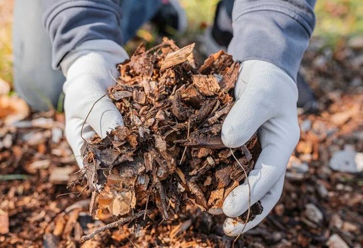 Utilizando el estiércol mejoran hasta un 26 % los rindes de los cultivos