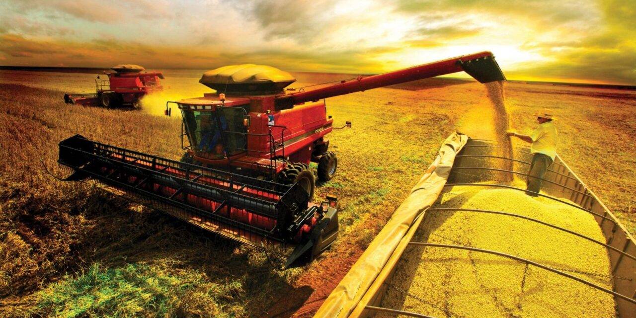 El agro argentino llegó a 143  países y ya es el principal  complejo exportador del país