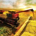 El agro argentino llegó a 143  países y ya es el principal  complejo exportador del país