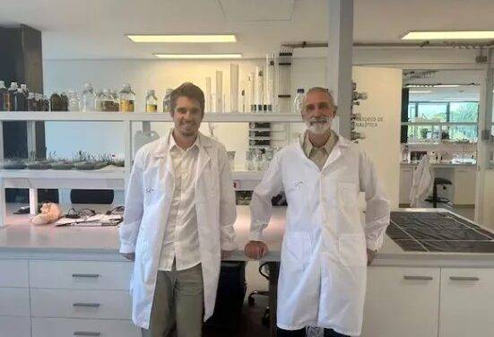 Beeflow, la agtech argentina que aplica ciencia a la polinización y gana proyección global