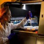 ThermoReLeaf: una startup argentina fue reconocida en los Global Startup Awards por su innovación biotecnológica