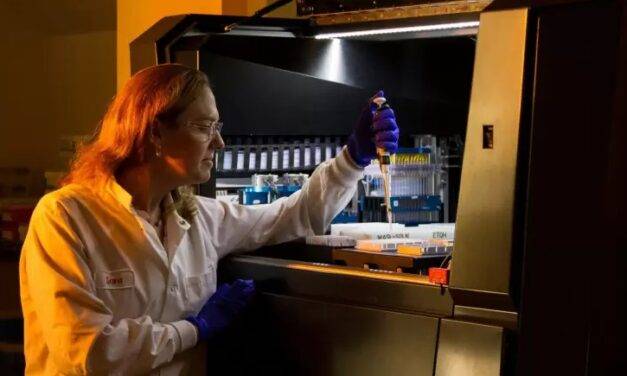 ThermoReLeaf: una startup argentina fue reconocida en los Global Startup Awards por su innovación biotecnológica