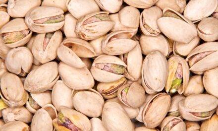 El pistacho aparece como oportunidad para los argentinos