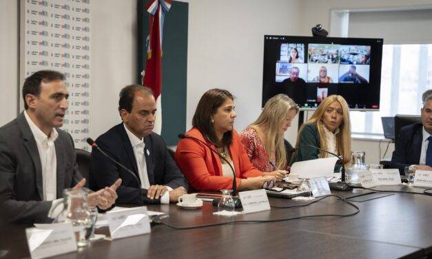 En comisión: comenzó el tratamiento del proyecto para crear el Régimen de Protección de Víctimas de Delitos