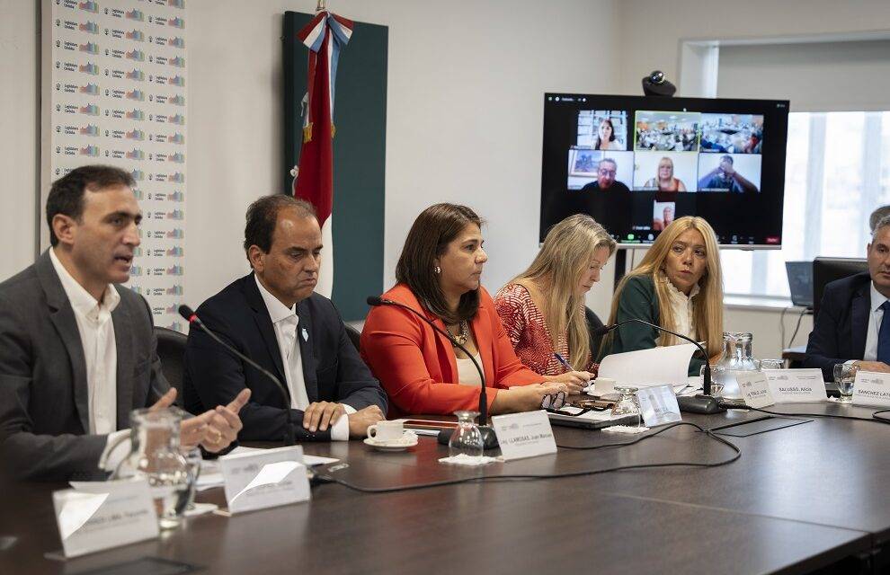 En comisión: comenzó el tratamiento del proyecto para crear el Régimen de Protección de Víctimas de Delitos