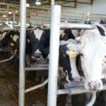 Ambiente entregó el primer certificado de Registro de Huella de Carbono a una industria láctea