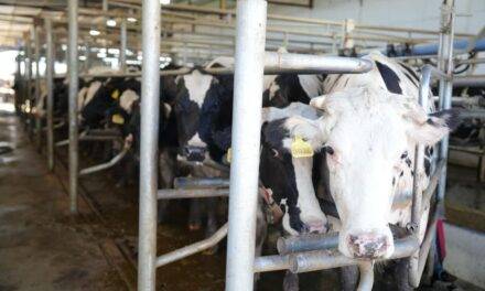 Ambiente entregó el primer certificado de Registro de Huella de Carbono a una industria láctea