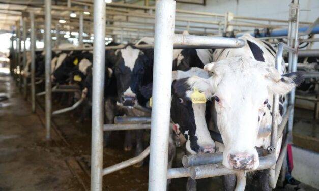 Ambiente entregó el primer certificado de Registro de Huella de Carbono a una industria láctea