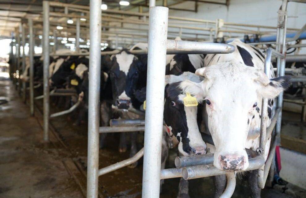 Ambiente entregó el primer certificado de Registro de Huella de Carbono a una industria láctea