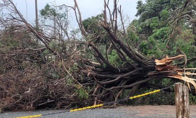 Tormenta severa en Coronel Moldes