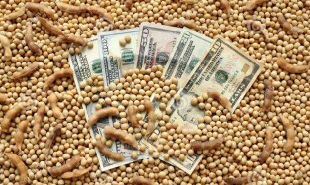 Divisas agro: en febrero la liquidación cayó 30% y encendió las alertas