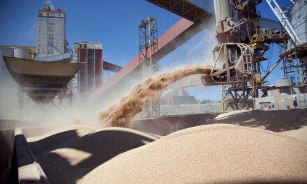 La soja arrasa: genera ahora más dólares que  petróleo y autos juntos