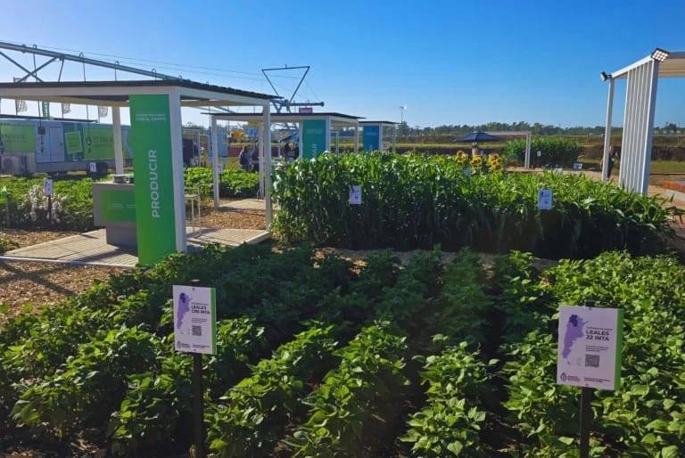 Genética aplicada al campo, la propuesta del INTA en Expoagro