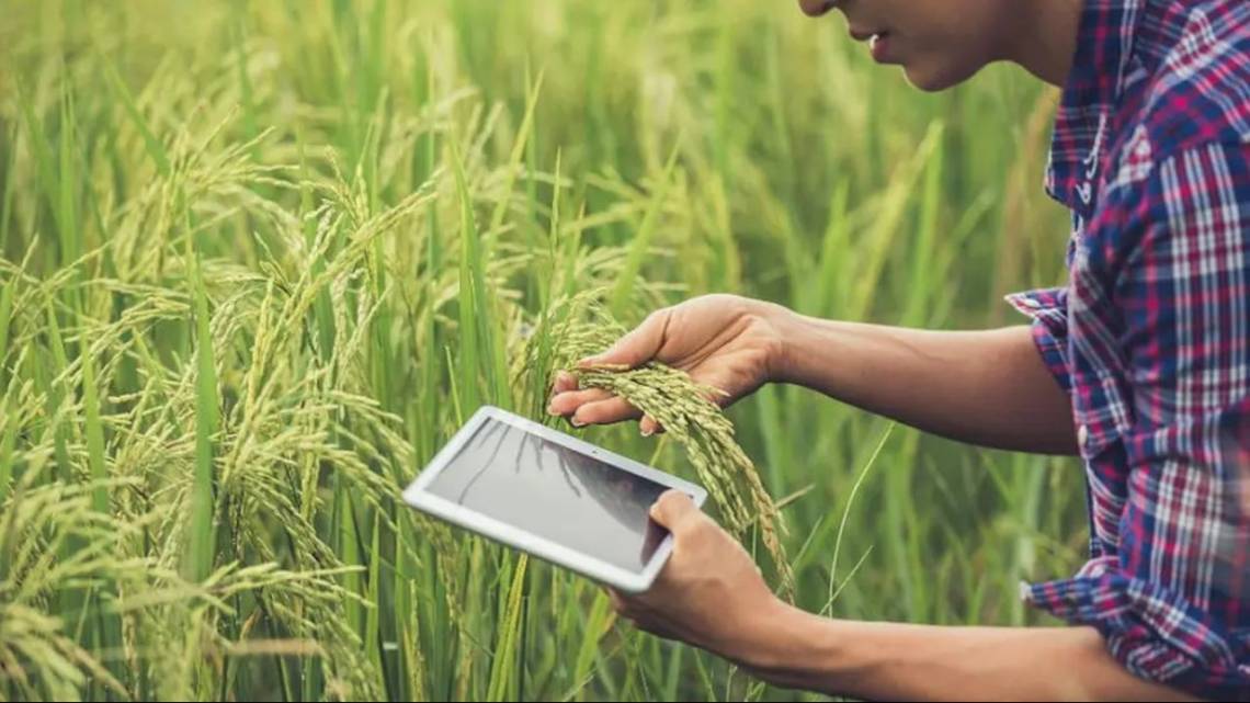 Una agtech argentina certificó su tecnología para medir huella de carbono y verificar lotes sustentables