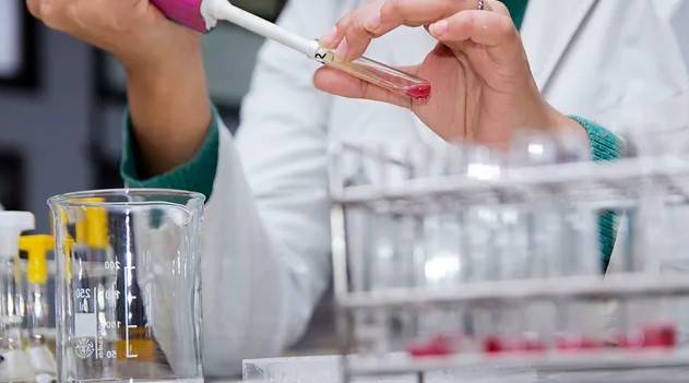 Crean el Programa Nacional «Sello Ciencia Argentina» para impulsar empresas de base tecnológica