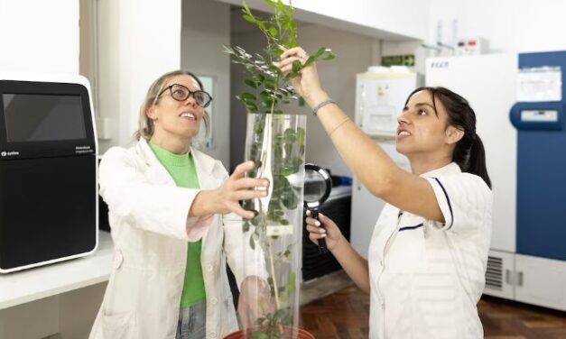 Una startup científica argentina avanza contra una de las plagas más temidas del agro