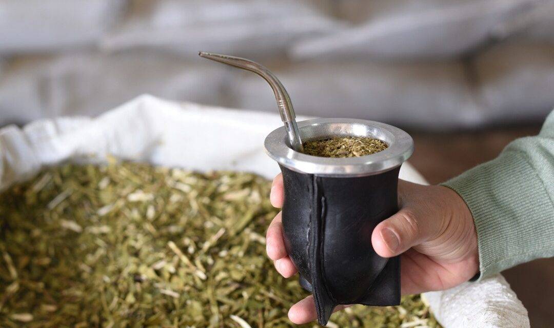 El mundial de la Yerba Mate, en junio, en Buenos Aires
