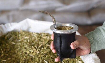 El mundial de la Yerba Mate, en junio, en Buenos Aires