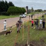 Bulnes avanza con obras de infraestructura vial en el sector céntrico
