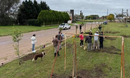Bulnes avanza con obras de infraestructura vial en el sector céntrico