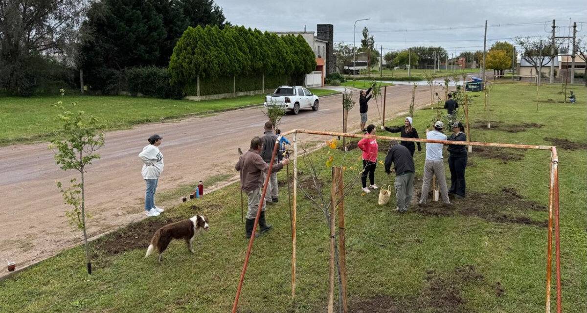Adelia María suma un nuevo espacio verde impulsado por vecinos en Barrio Terrazas del Acceso