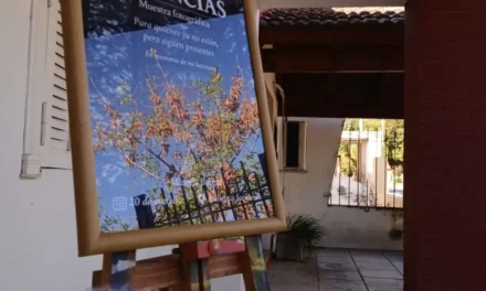 Estudiantes de la ProA de Huinca Renancó impulsan un proyecto de ESI tras visitar la muestra “Ausencias”