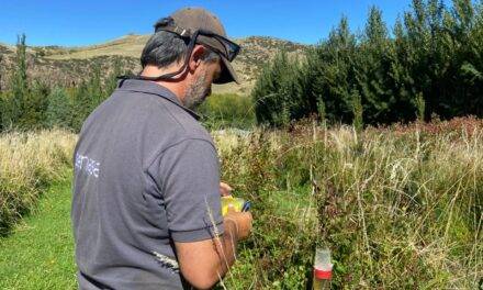 Realizan ensayos con el uso de moscas estériles para lograr combatir plagas