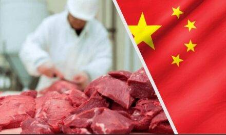 China suspendió compras de carne a un frigorífico argentino por un antibiótico