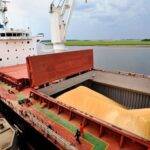 Argentina concreta su primer embarque de maíz a China con 34.000 toneladas