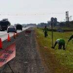 Proyectan que se permita la siembra al lado de las rutas