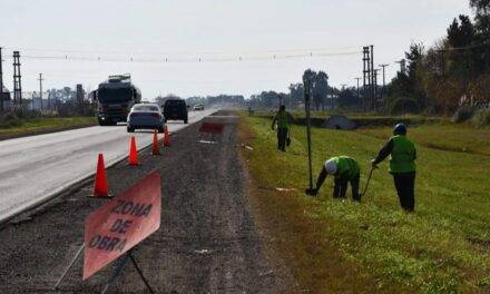 Proyectan que se permita la siembra al lado de las rutas