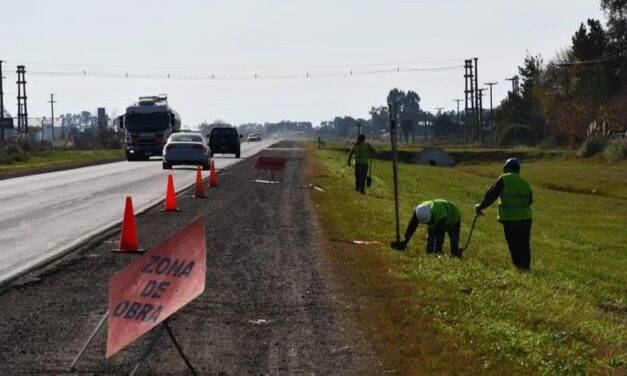 Proyectan que se permita la siembra al lado de las rutas