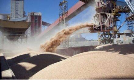 Inscripción para exportadores de granos de cebada, trigo, soja, sorgo y maíz a China