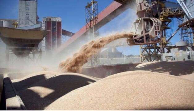 Inscripción para exportadores de granos de cebada, trigo, soja, sorgo y maíz a China