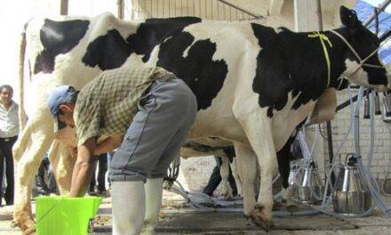 En marzo el precio al tambero fue el más bajo de los últimos en 10 años