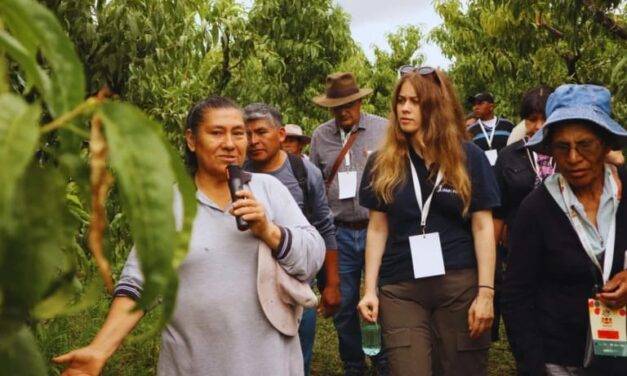 Buscan conservar variedades criollas y nativas para preservar la diversidad genética