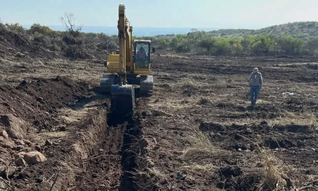 El 4 de mayo arrancan las nuevas exploraciones arqueológicas del EAAF en el predio de La Perla
