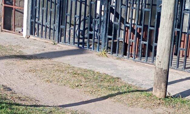 Clausuraron una fiesta clandestina en la Vecinal Las Delicias