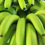 Se deberá registrar en el SIG-DTV-e todo movimiento de producción o empaque de bananas