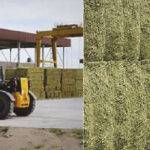 El agro acelera su transformación  digital con herramientas de precisión