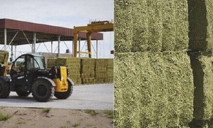 El agro acelera su transformación  digital con herramientas de precisión