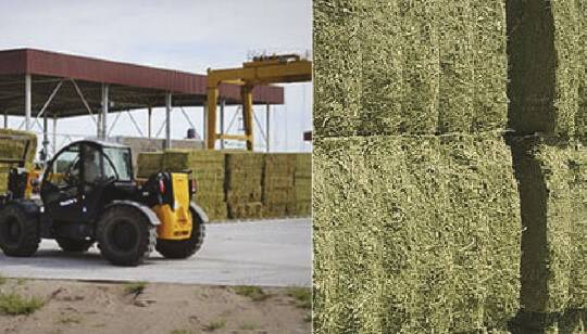 El agro acelera su transformación  digital con herramientas de precisión