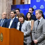 El Senado convirtió en ley el proyecto para regularizar la tenencia de armas de fuego