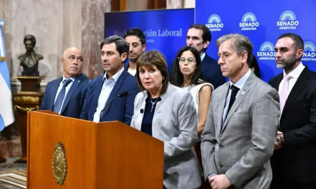 El Senado convirtió en ley el proyecto para regularizar la tenencia de armas de fuego