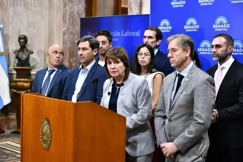 El Senado convirtió en ley el proyecto para regularizar la tenencia de armas de fuego