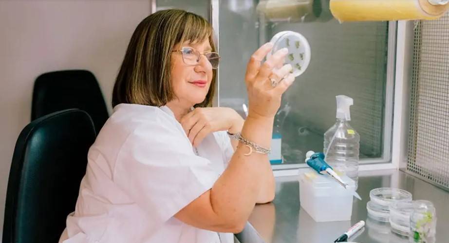 Una científica argentina ganó un premio mundial por sus desarrollos biotecnológicos de cultivos «antisequía»