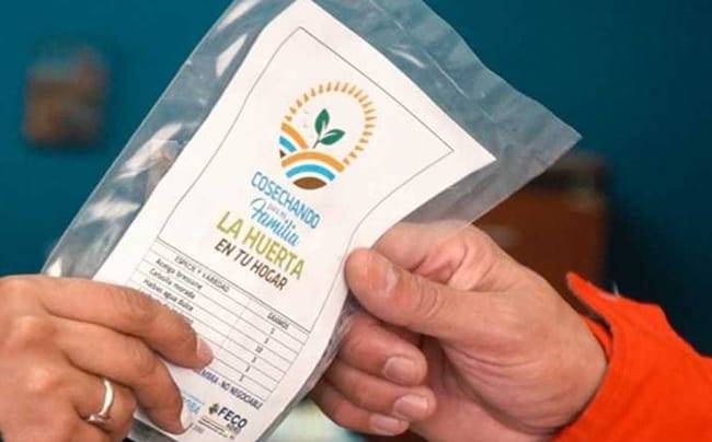 “Huerta en Tu Hogar”. Más de 40.000 cordobeses comenzarán a recibir semillas de la temporada otoño-invierno